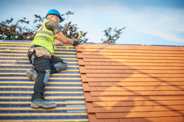 Best Metal Roofing Installation  in Goose Creek, SC